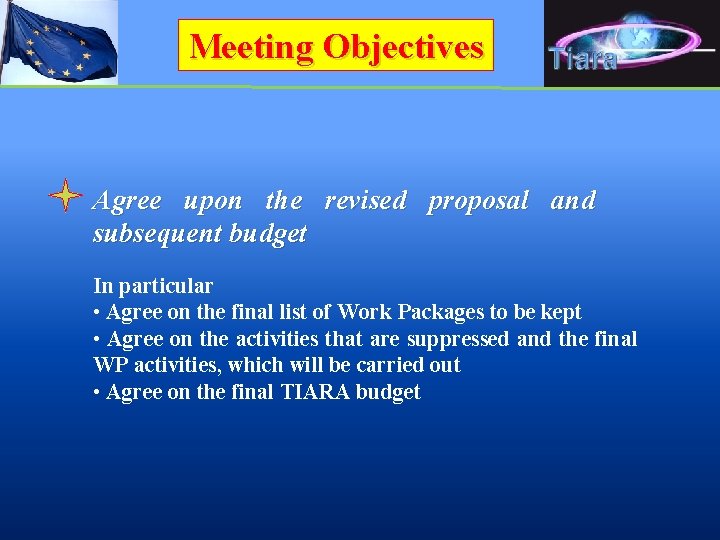 Meeting Objectives Agree upon the revised proposal and subsequent budget In particular • Agree