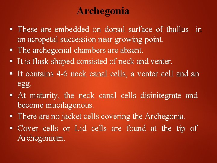 Archegonia These are embedded on dorsal surface of thallus in an acropetal succession near