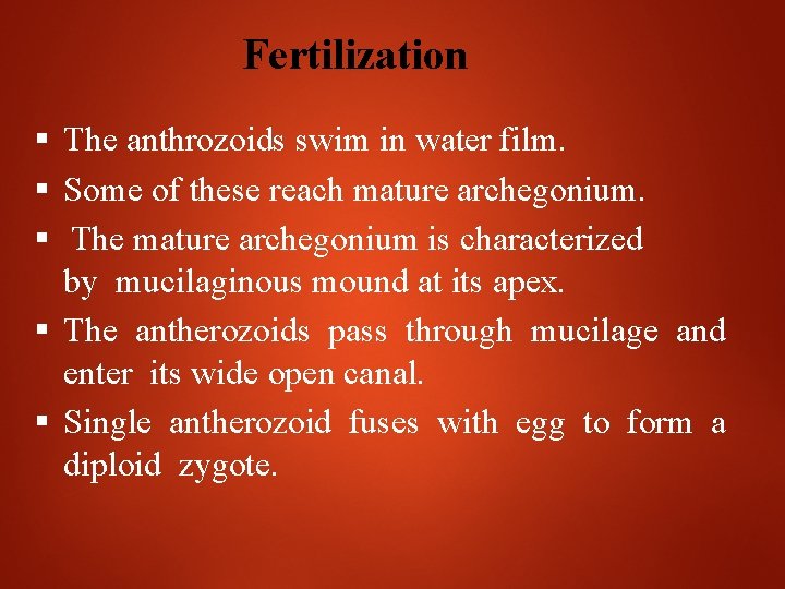 Fertilization The anthrozoids swim in water film. Some of these reach mature archegonium. The