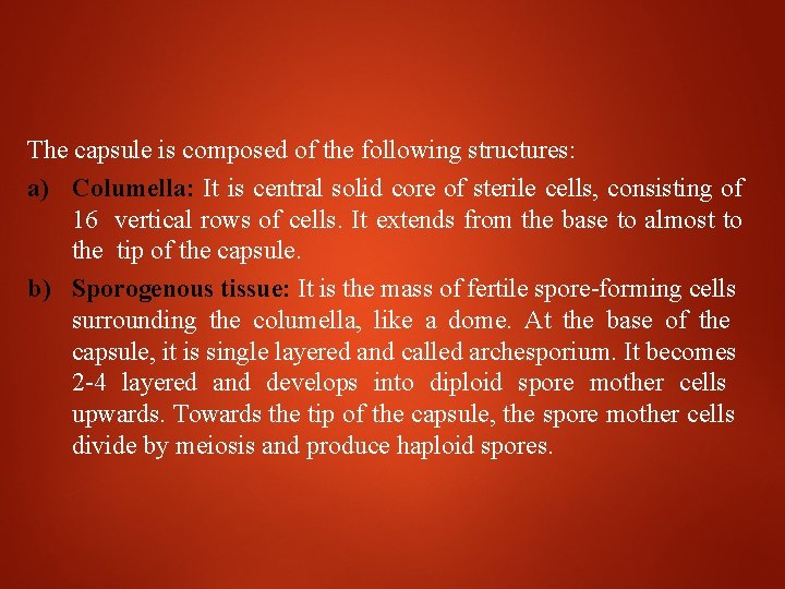 The capsule is composed of the following structures: a) Columella: It is central solid