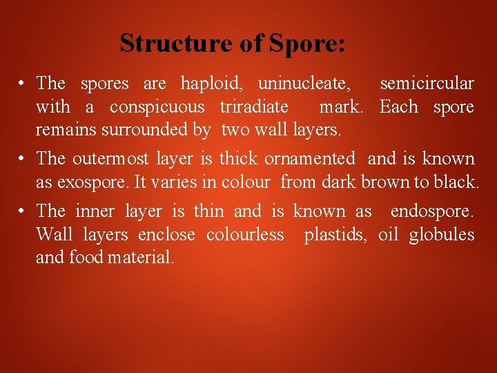 Structure of Spore: • The spores are haploid, uninucleate, semicircular with a conspicuous triradiate