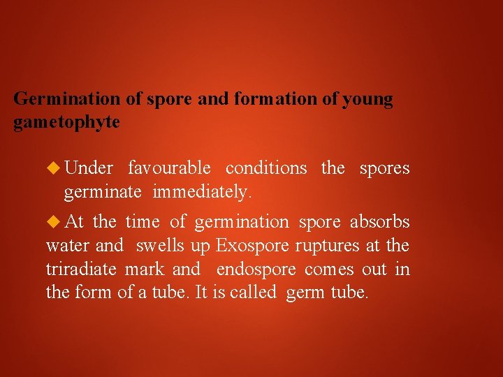 Germination of spore and formation of young gametophyte Under favourable conditions the spores germinate