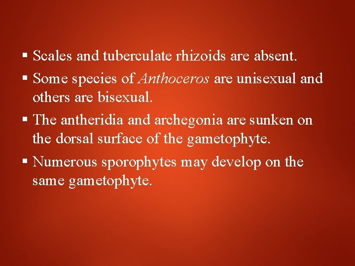  Scales and tuberculate rhizoids are absent. Some species of Anthoceros are unisexual and