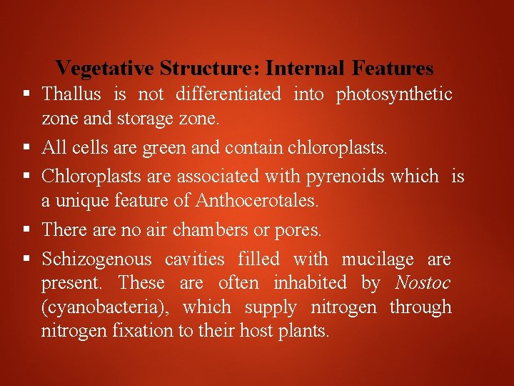 Vegetative Structure: Internal Features Thallus is not differentiated into photosynthetic zone and storage zone.