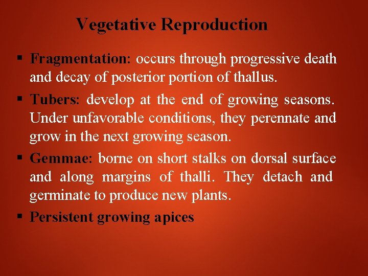 Vegetative Reproduction Fragmentation: occurs through progressive death and decay of posterior portion of thallus.