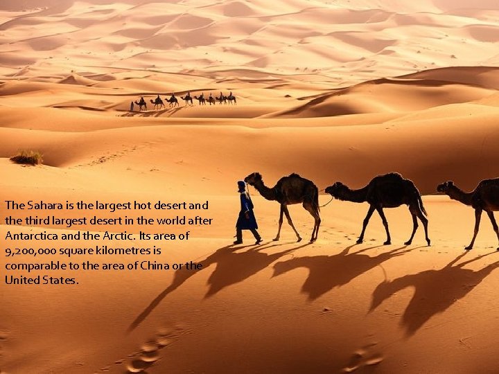 The Sahara is the largest hot desert and the third largest desert in the