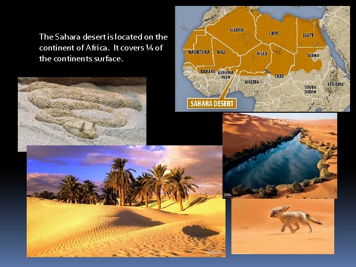 The Sahara desert is located on the continent of Africa. It covers ¼ of