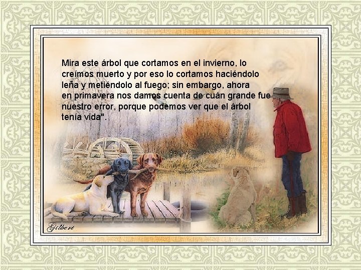 Mira este árbol que cortamos en el invierno, lo creímos muerto y por eso