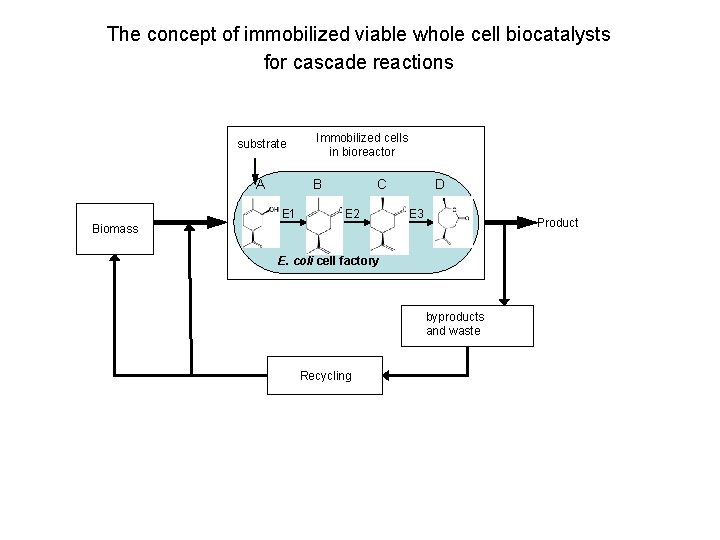 The concept of immobilized viable whole cell biocatalysts for cascade reactions substrate A Immobilized
