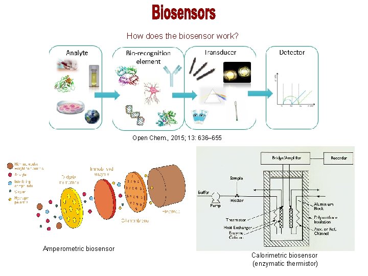 How does the biosensor work? Schematic principle of the work of biosensor Open Chem.