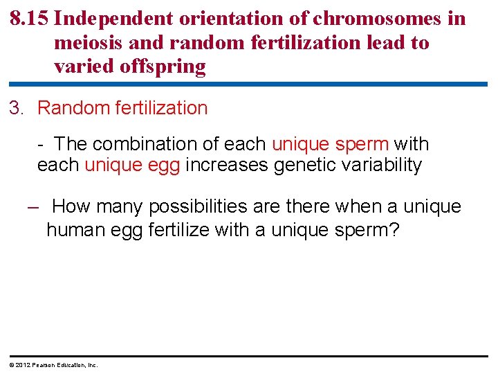 8. 15 Independent orientation of chromosomes in meiosis and random fertilization lead to varied