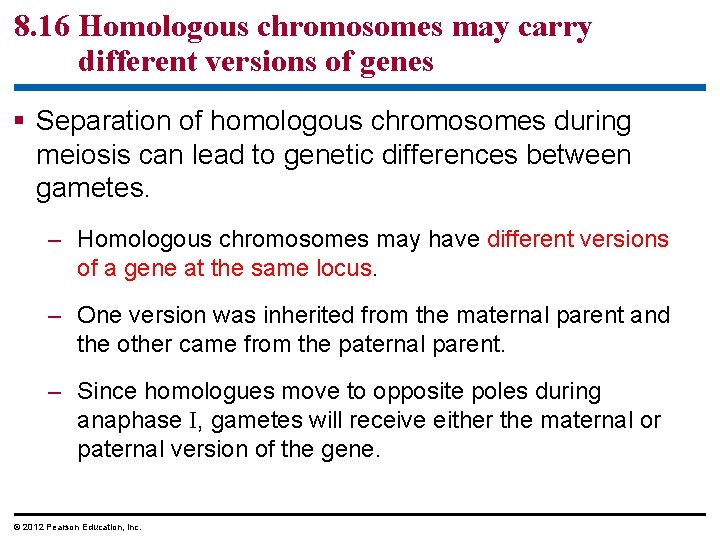 8. 16 Homologous chromosomes may carry different versions of genes § Separation of homologous