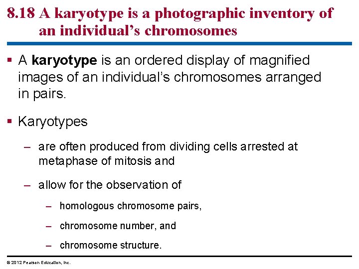 8. 18 A karyotype is a photographic inventory of an individual’s chromosomes § A