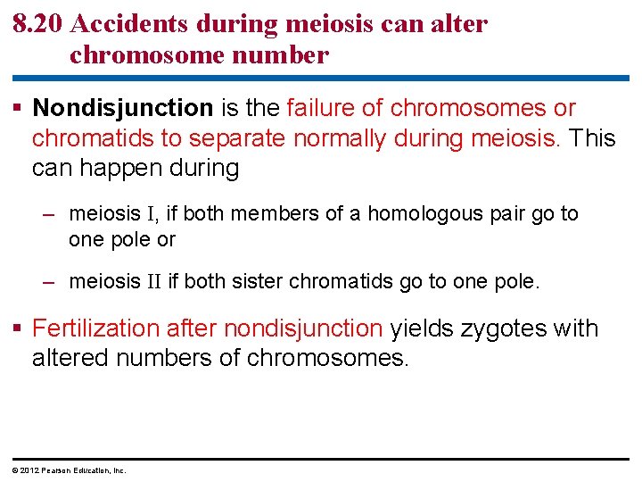 8. 20 Accidents during meiosis can alter chromosome number § Nondisjunction is the failure