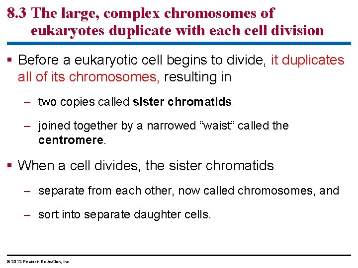 8. 3 The large, complex chromosomes of eukaryotes duplicate with each cell division §