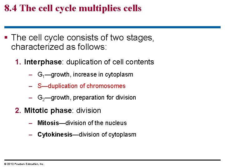 8. 4 The cell cycle multiplies cells § The cell cycle consists of two