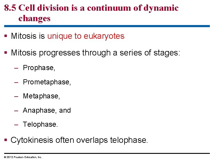 8. 5 Cell division is a continuum of dynamic changes § Mitosis is unique