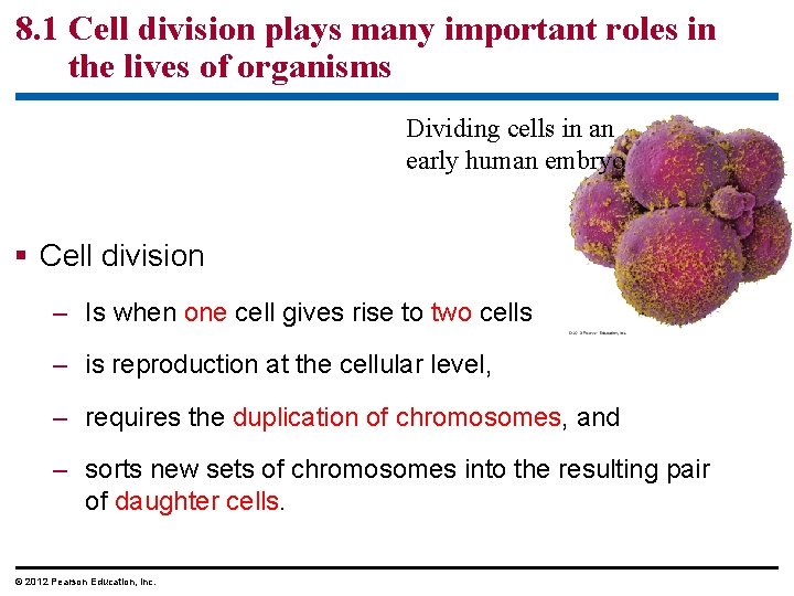 8. 1 Cell division plays many important roles in the lives of organisms Dividing