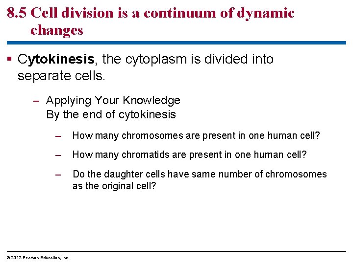 8. 5 Cell division is a continuum of dynamic changes § Cytokinesis, the cytoplasm