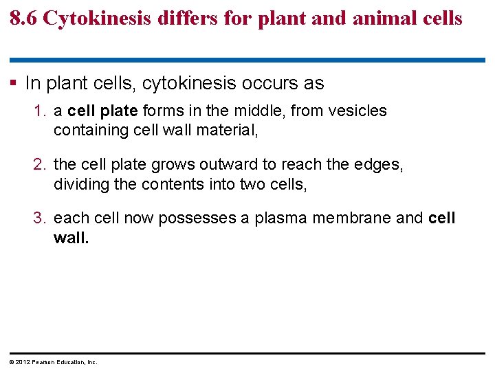 8. 6 Cytokinesis differs for plant and animal cells § In plant cells, cytokinesis