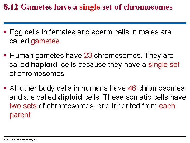 8. 12 Gametes have a single set of chromosomes § Egg cells in females