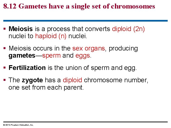 8. 12 Gametes have a single set of chromosomes § Meiosis is a process