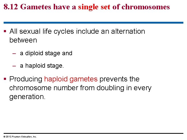 8. 12 Gametes have a single set of chromosomes § All sexual life cycles