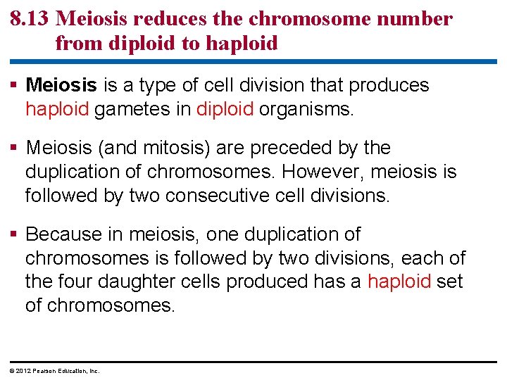 8. 13 Meiosis reduces the chromosome number from diploid to haploid § Meiosis is