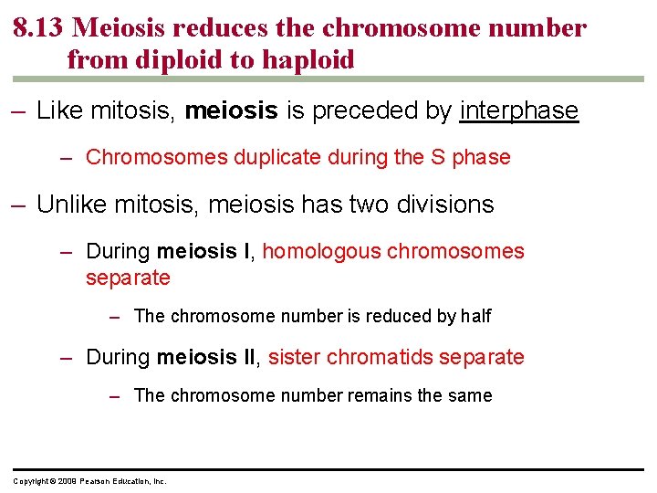8. 13 Meiosis reduces the chromosome number from diploid to haploid – Like mitosis,