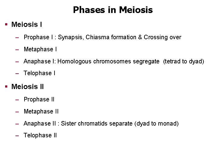 Phases in Meiosis § Meiosis I – Prophase I : Synapsis, Chiasma formation &