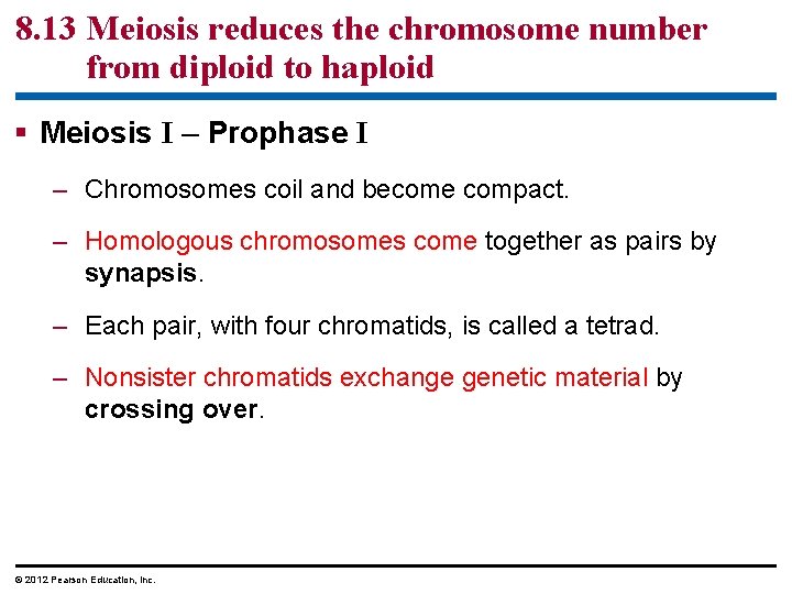 8. 13 Meiosis reduces the chromosome number from diploid to haploid § Meiosis I