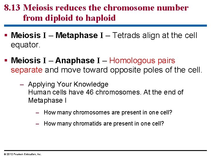 8. 13 Meiosis reduces the chromosome number from diploid to haploid § Meiosis I