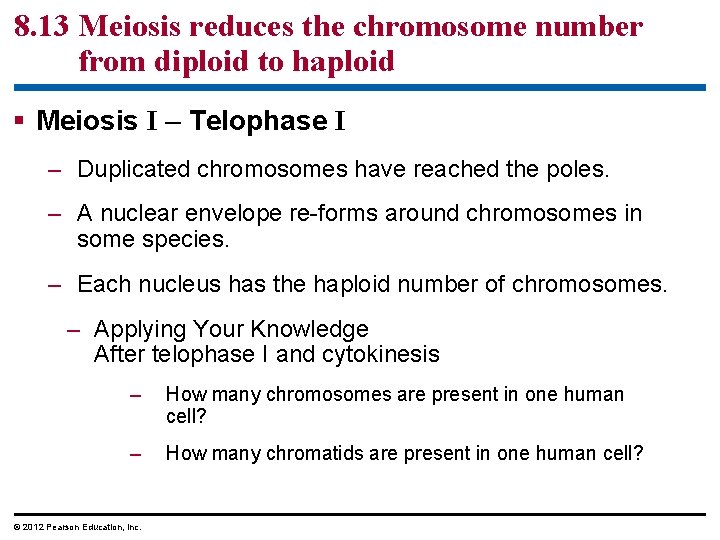 8. 13 Meiosis reduces the chromosome number from diploid to haploid § Meiosis I