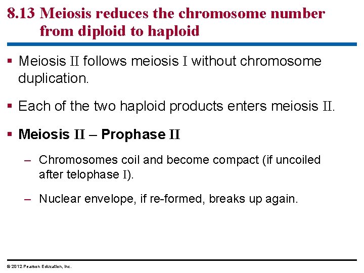8. 13 Meiosis reduces the chromosome number from diploid to haploid § Meiosis II