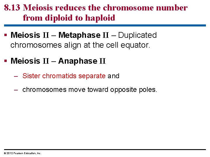 8. 13 Meiosis reduces the chromosome number from diploid to haploid § Meiosis II