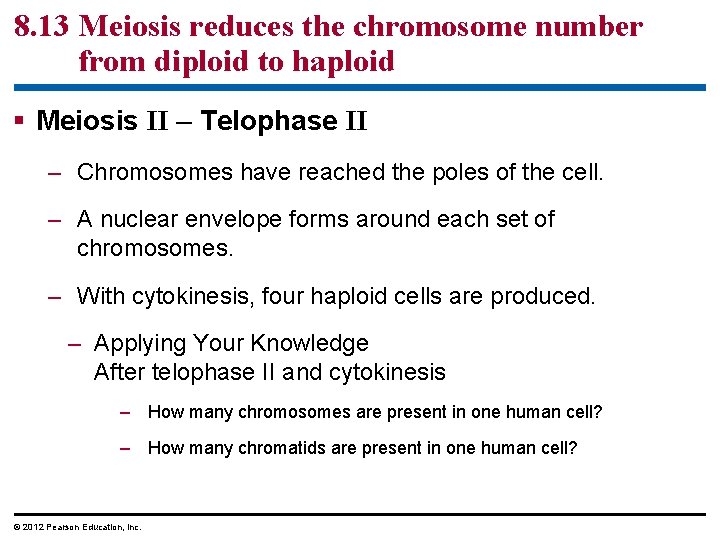 8. 13 Meiosis reduces the chromosome number from diploid to haploid § Meiosis II