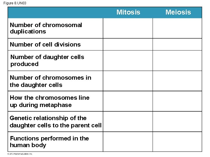 Figure 8. UN 03 Mitosis Number of chromosomal duplications Number of cell divisions Number