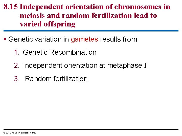 8. 15 Independent orientation of chromosomes in meiosis and random fertilization lead to varied