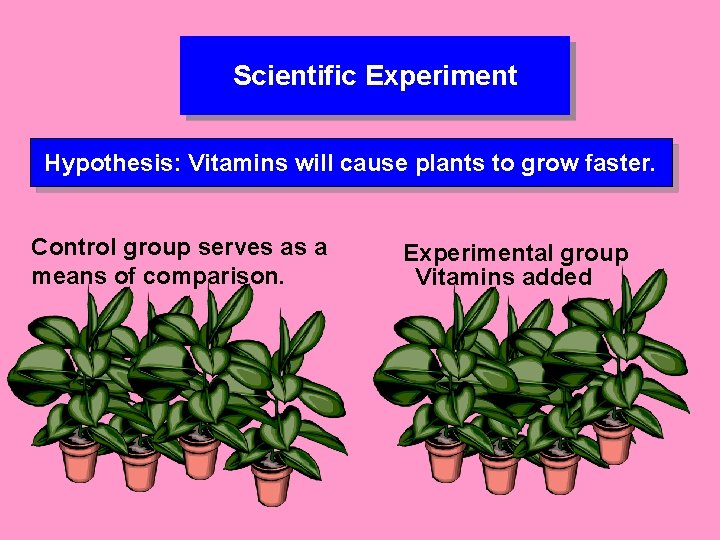 Scientific Experiment Hypothesis: Vitamins will cause plants to grow faster. Control group serves as