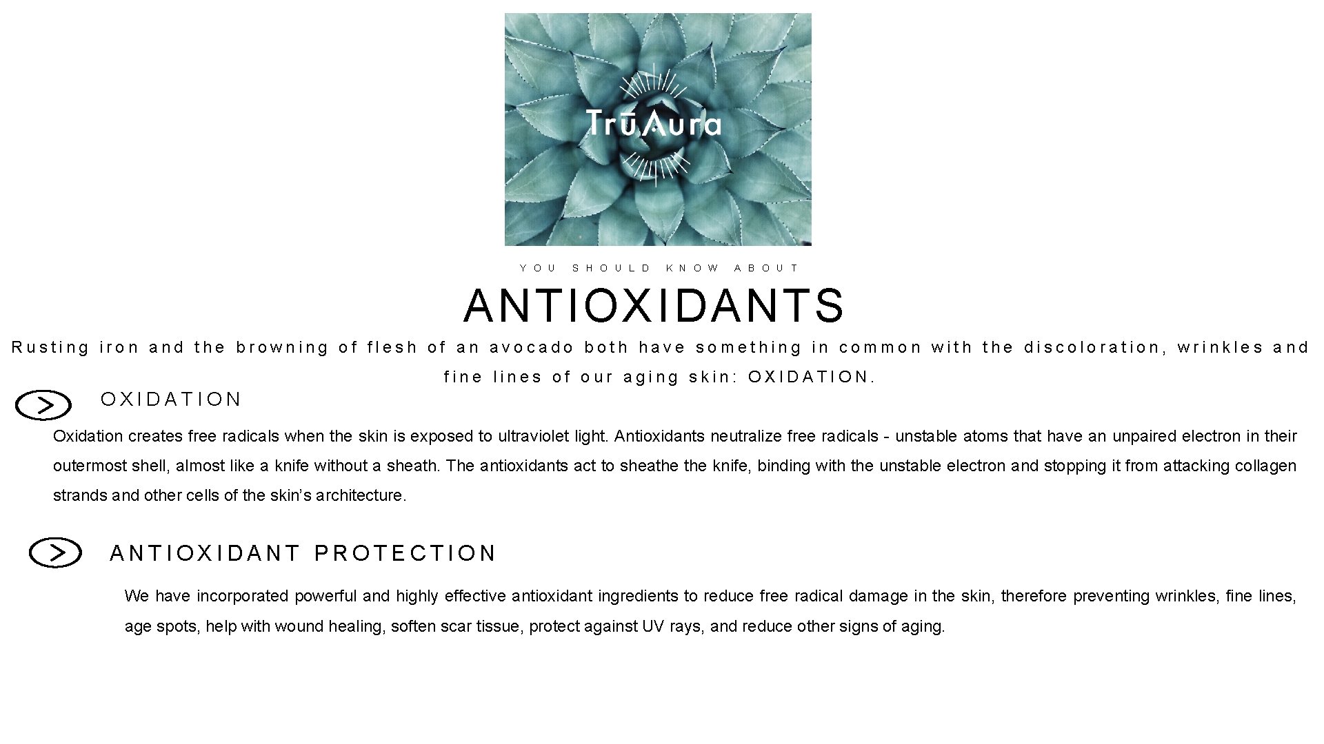 Y O U S H O U L D K N O W A