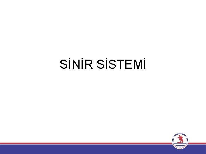 SİNİR SİSTEMİ 