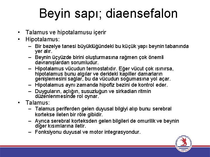 Beyin sapı; diaensefalon • Talamus ve hipotalamusu içerir • Hipotalamus: – Bir bezelye tanesi