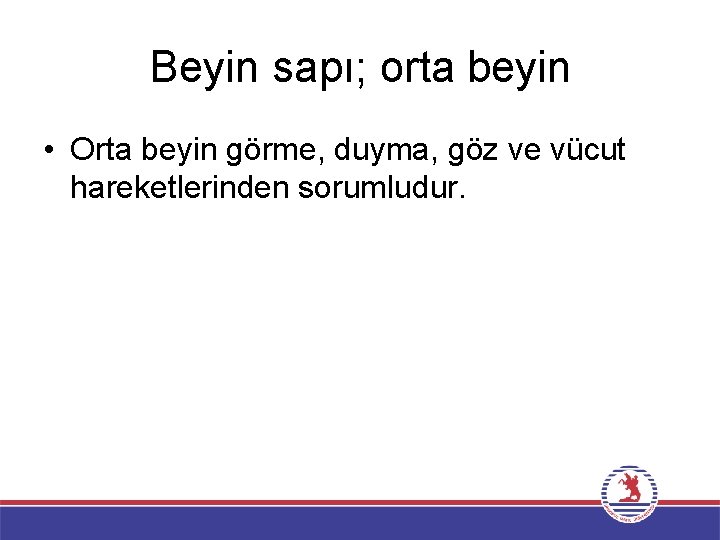 Beyin sapı; orta beyin • Orta beyin görme, duyma, göz ve vücut hareketlerinden sorumludur.