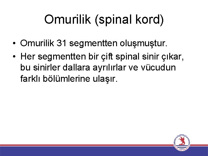 Omurilik (spinal kord) • Omurilik 31 segmentten oluşmuştur. • Her segmentten bir çift spinal