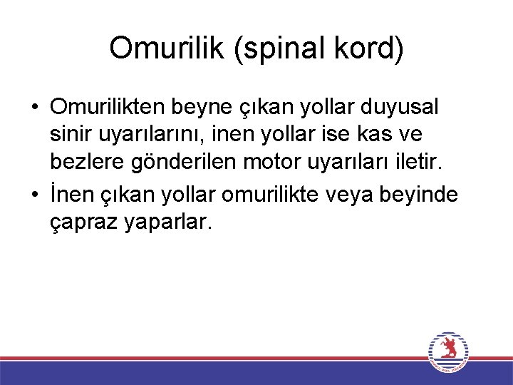 Omurilik (spinal kord) • Omurilikten beyne çıkan yollar duyusal sinir uyarılarını, inen yollar ise