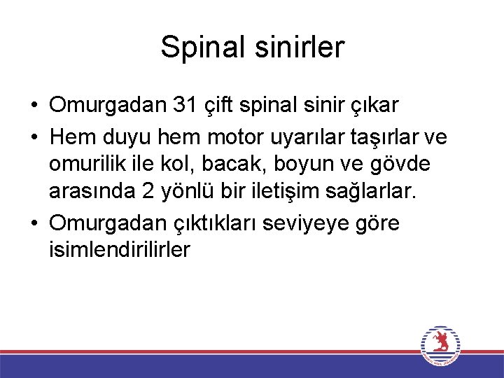 Spinal sinirler • Omurgadan 31 çift spinal sinir çıkar • Hem duyu hem motor