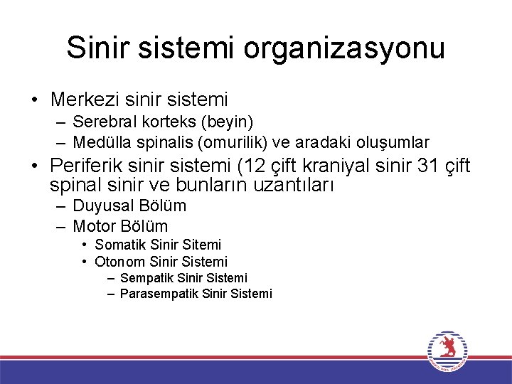 Sinir sistemi organizasyonu • Merkezi sinir sistemi – Serebral korteks (beyin) – Medülla spinalis