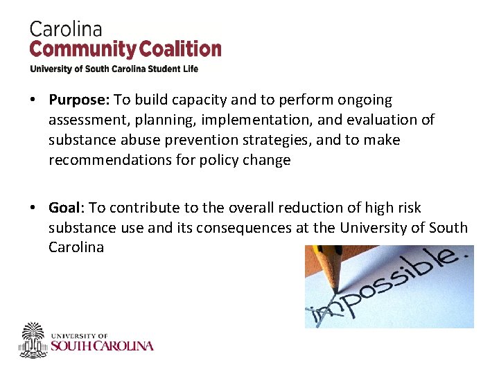 • Purpose: To build capacity and to perform ongoing assessment, planning, implementation, and • Purpose: To build capacity and to perform ongoing assessment, planning, implementation, and