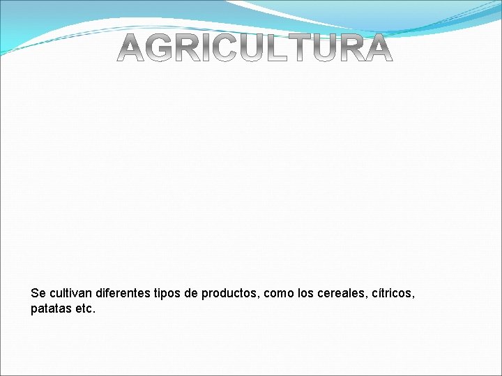 Se cultivan diferentes tipos de productos, como los cereales, cítricos, patatas etc. 