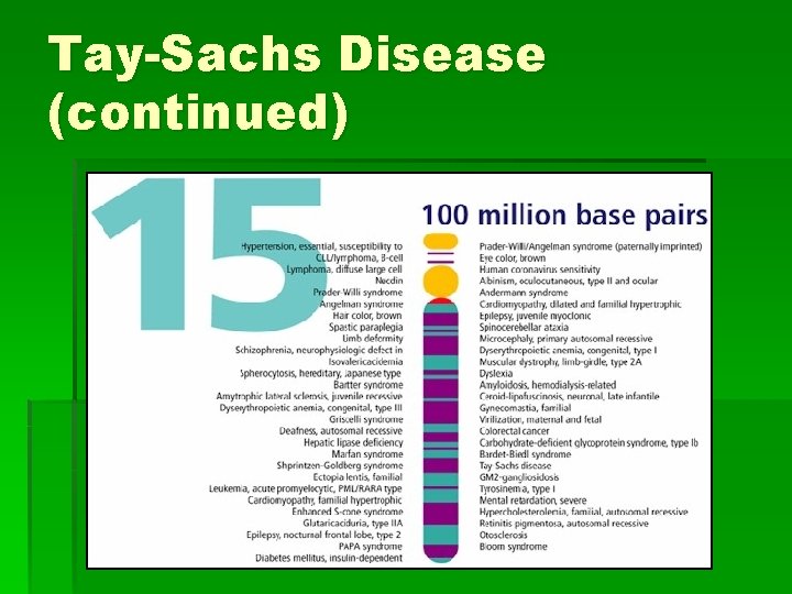 Tay-Sachs Disease (continued) 